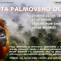 Cesta palmového oleje