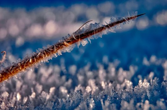 Meteorologové varují: Silný mráz očekávejte od dnešního večera do soboty