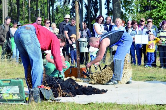 Chaloupky nabídnou putování za zlatým rounem