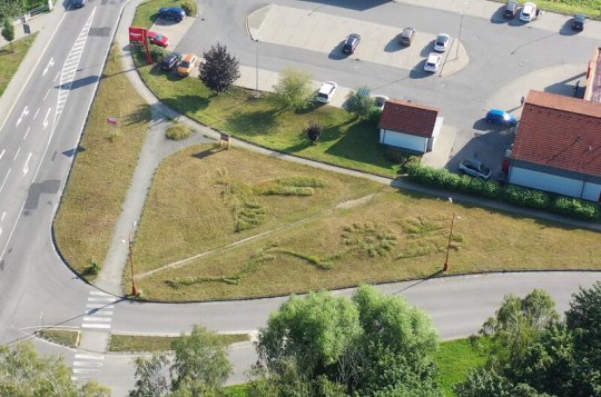 Na louce sedí obří včela samotářka