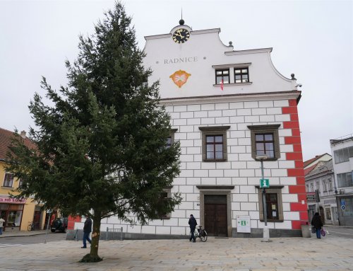  Před radnicí už stojí vánoční strom. Rozzáří se v neděli 1. prosince