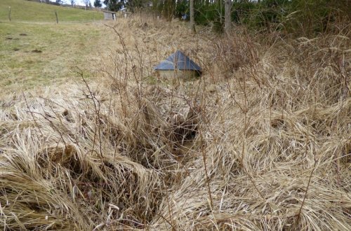 Hlasováním můžete podpořit opravu studánky na Velkomeziříčsku