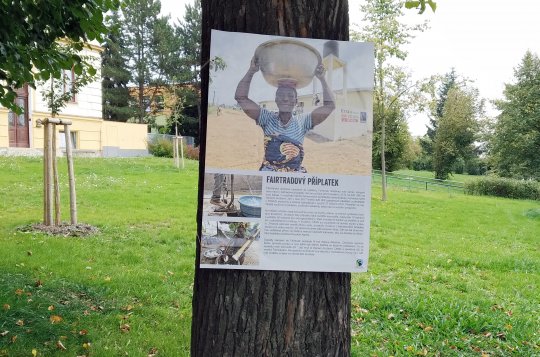 Výstava na stromech odhaluje, jak technologie proměňují svět práce. Fotografie ozdobí i stromy před gymnáziem