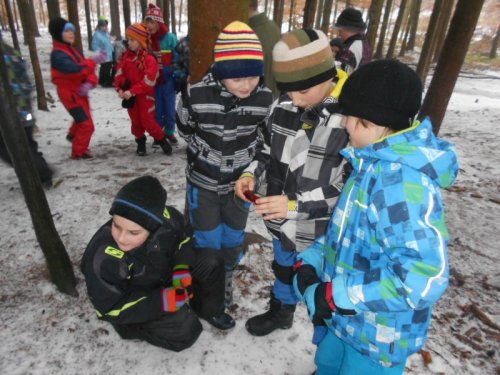 Žáci ze Lhotek zkoumali přírodu na zimním pobytu