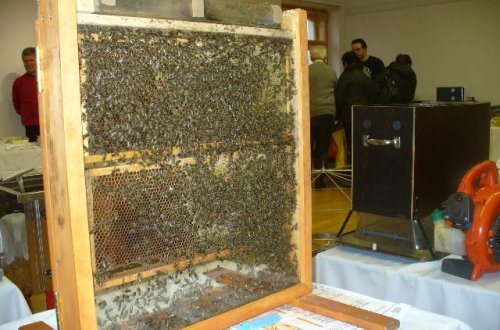 Na včelařské výstavě nebude chybět oblíbený prosklený úl