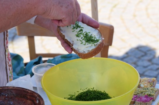 Úterní Den zdraví se bude věnovat i cyklodopravě