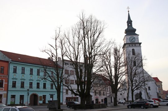 Lípy na náměstí čeká běžný zdravotní řez