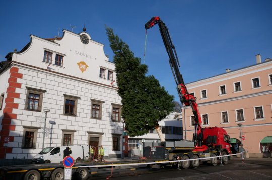 Vánoční strom už stojí 