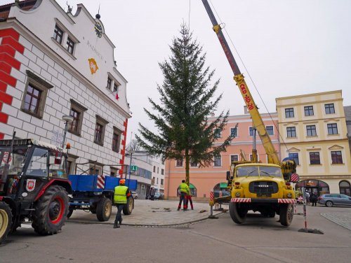 Na náměstí před radnicí se tyčí vánoční strom