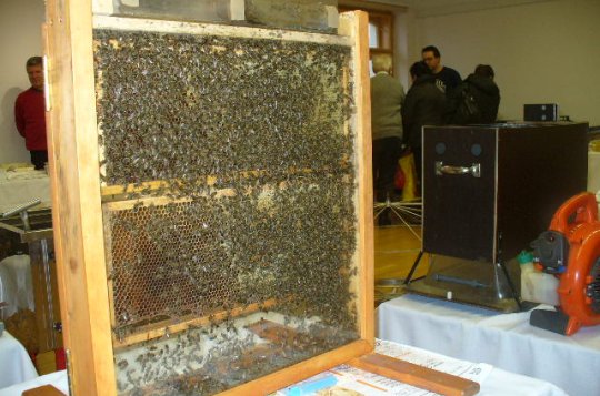 Na včelařské výstavě nebude chybět oblíbený prosklený úl